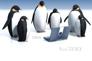 Guide Linux – Configurazione posta con Evolution